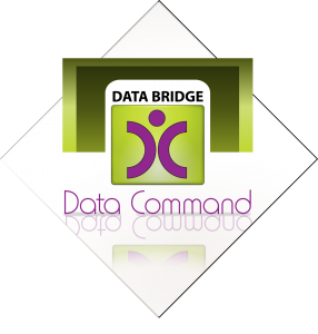 Data Command Logo with Data Bridge
