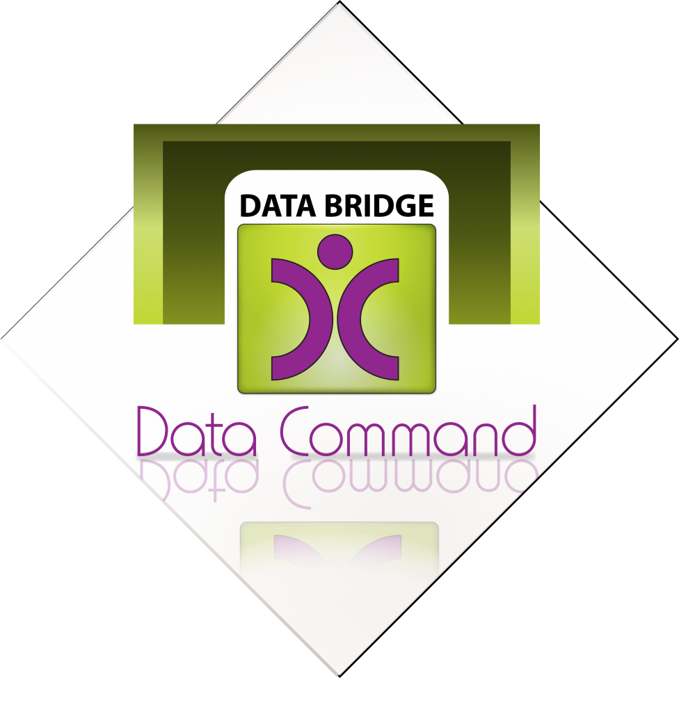 Data Command Logo with Data Bridge